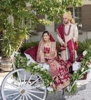 Hackney Horse & Carriage